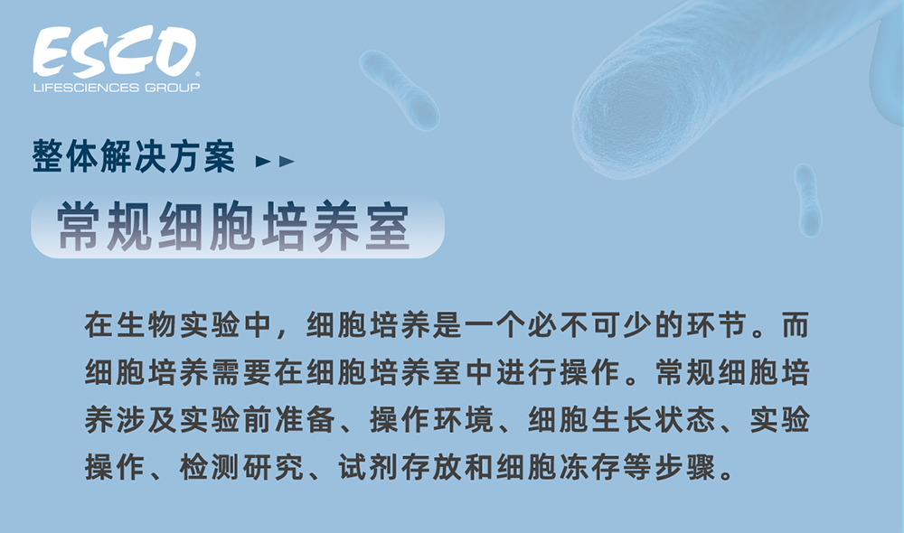 【解決方案】揭開常規細胞培養室的那些小秘密